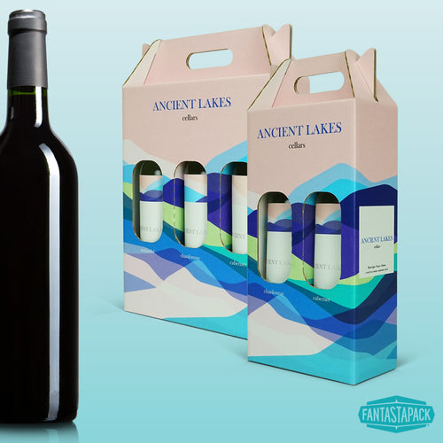 Two Bottle Wine Carrier