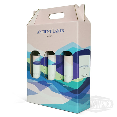Two Bottle Wine Carrier Wine Bottle Carrier by Fantastapack